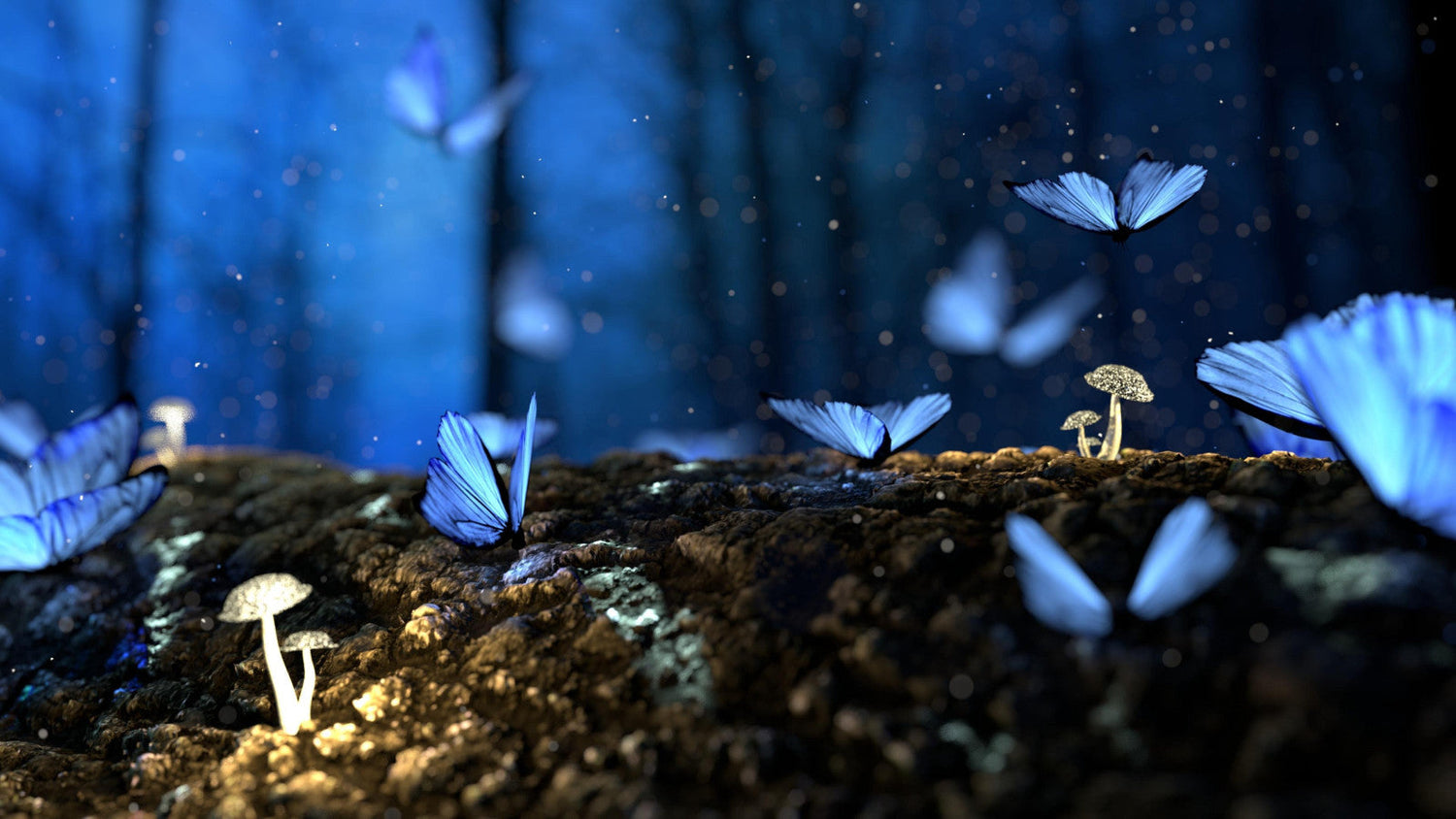 Magie des Ailes