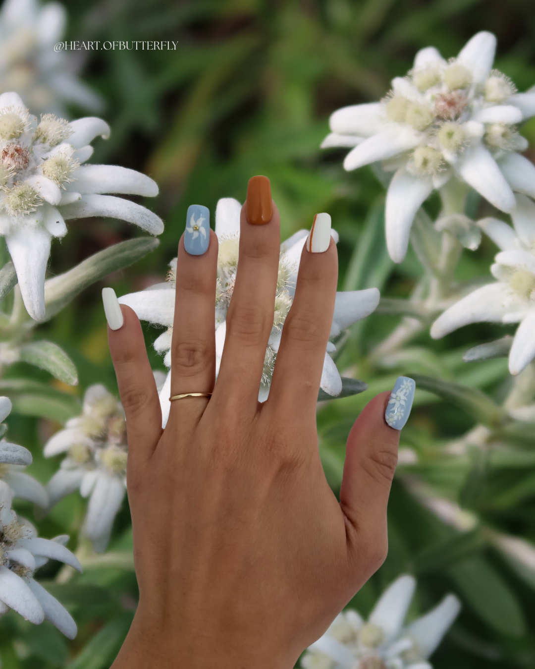 ✨ Éclat d’Edelweiss : la pureté au bout des doigts ✨